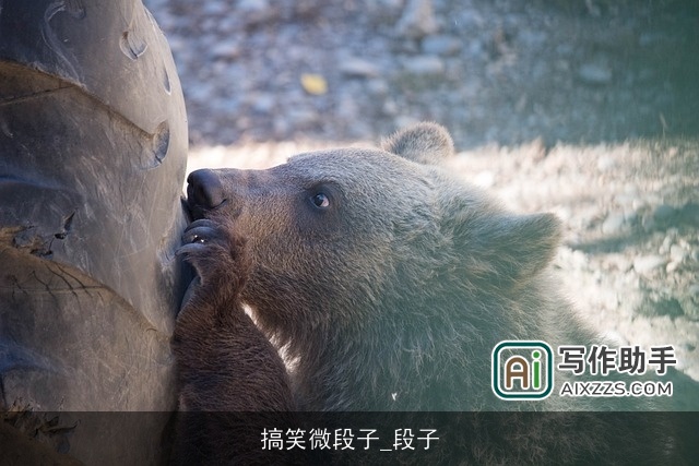 搞笑微段子_段子