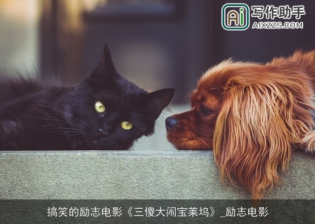 搞笑的励志电影《三傻大闹宝莱坞》_励志电影