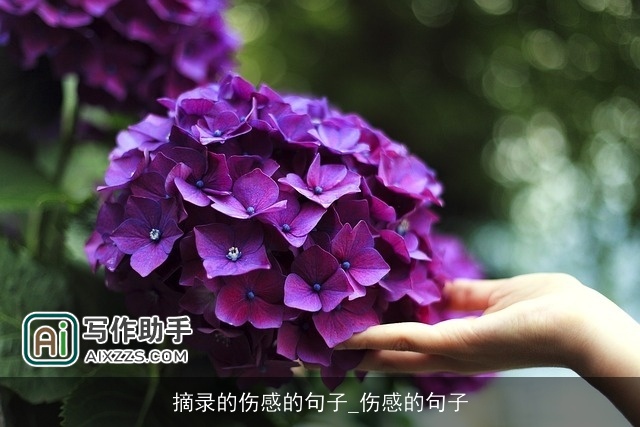 摘录的伤感的句子_伤感的句子