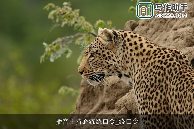 播音主持必练绕口令_绕口令