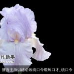 播音主持训练必练绕口令锻炼口才_绕口令