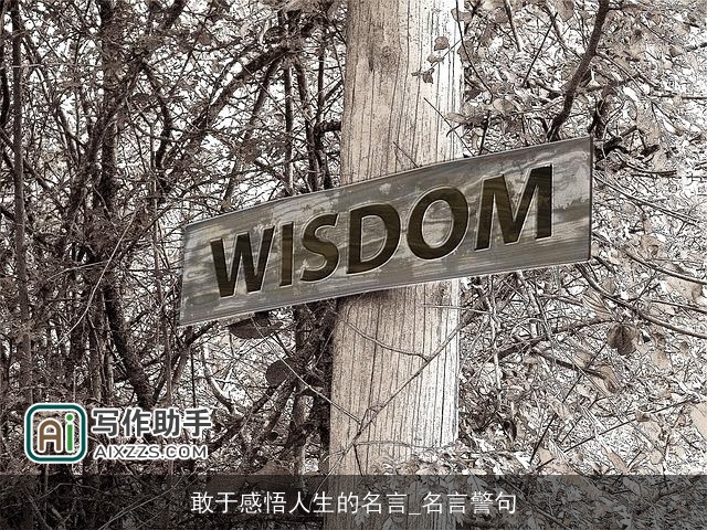 敢于感悟人生的名言_名言警句