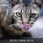 数字绕口令集锦_绕口令