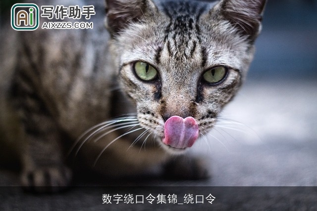 数字绕口令集锦_绕口令