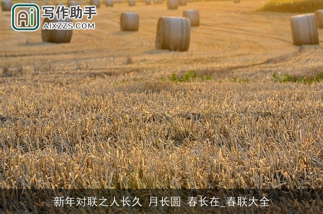 新年对联之人长久 月长圆 春长在_春联大全