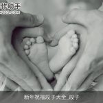 新年祝福段子大全_段子