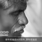 新年祝福语2025鼠年_新年祝福语