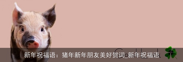新年祝福语：猪年新年朋友美好贺词_新年祝福语