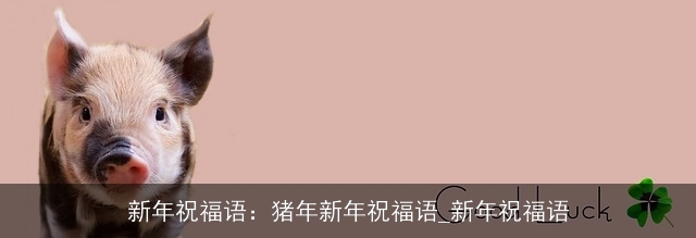 新年祝福语：猪年新年祝福语_新年祝福语