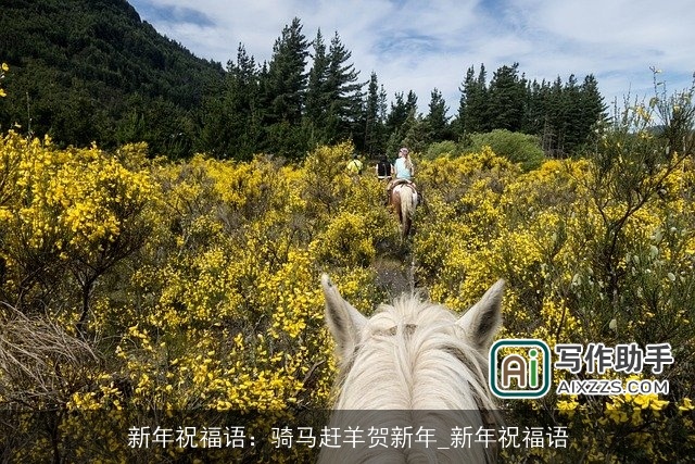 新年祝福语：骑马赶羊贺新年_新年祝福语