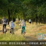 新年贺词：愿你生活处处顺 一切都能顺_新年贺词