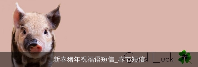 新春猪年祝福语短信_春节短信