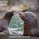 新编寓言故事_寓言故事