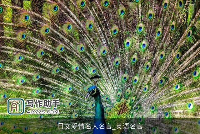 日文爱情名人名言_英语名言