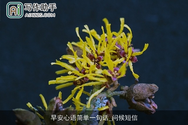 早安心语简单一句话_问候短信