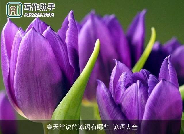 春天常说的谚语有哪些_谚语大全