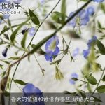 春天的俗语和谚语有哪些_谚语大全