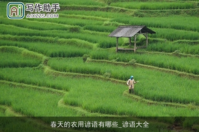 春天的农用谚语有哪些_谚语大全