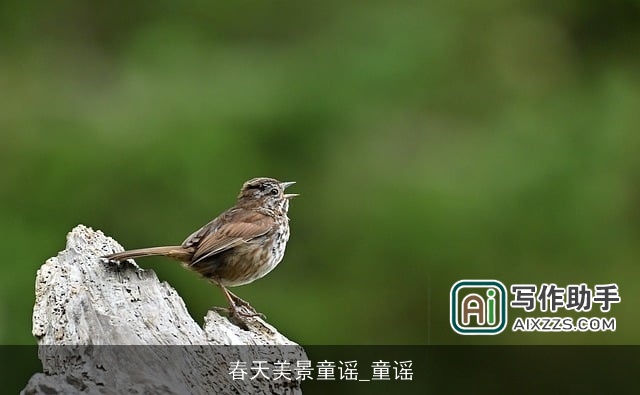 春天美景童谣_童谣