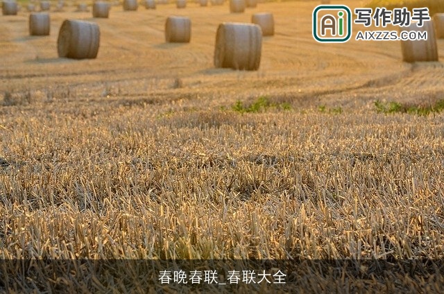 春晚春联_春联大全