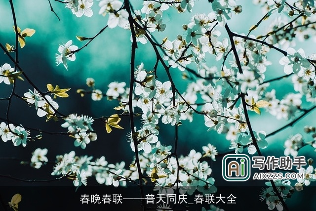 春晚春联——普天同庆_春联大全