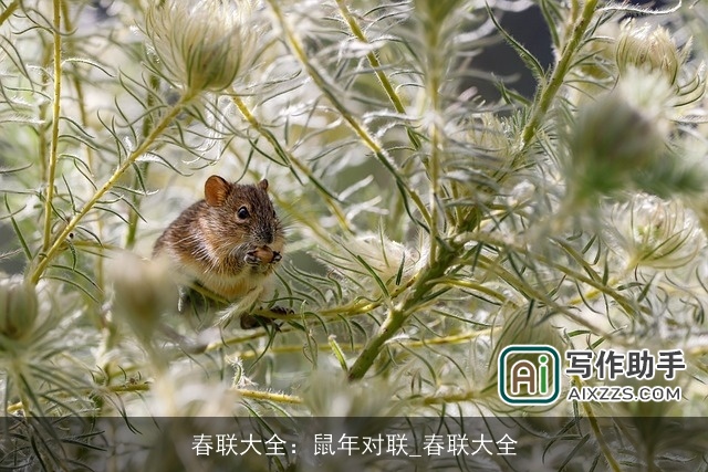 春联大全：鼠年对联_春联大全