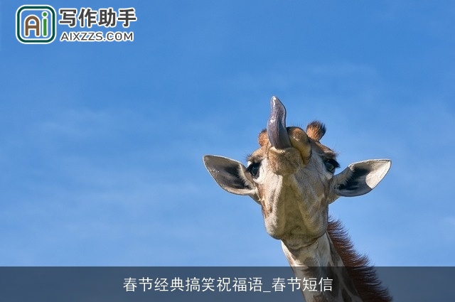 春节经典搞笑祝福语_春节短信