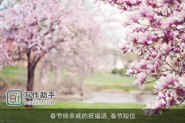 春节给亲戚的祝福语_春节短信