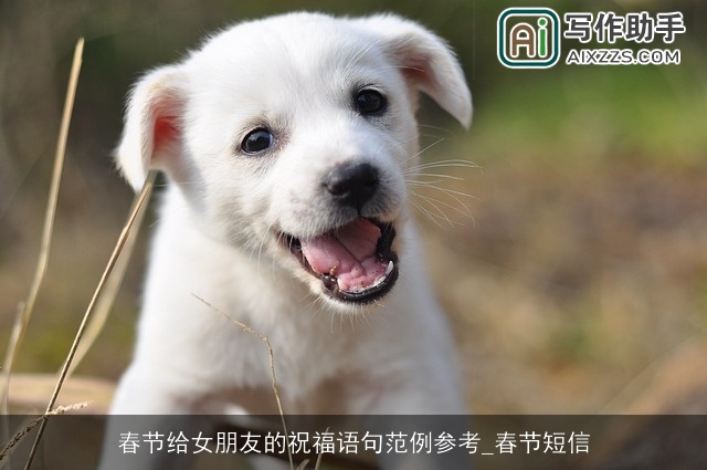 春节给女朋友的祝福语句范例参考_春节短信