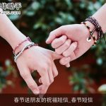 春节送朋友的祝福短信_春节短信