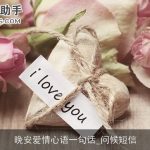 晚安爱情心语一句话_问候短信