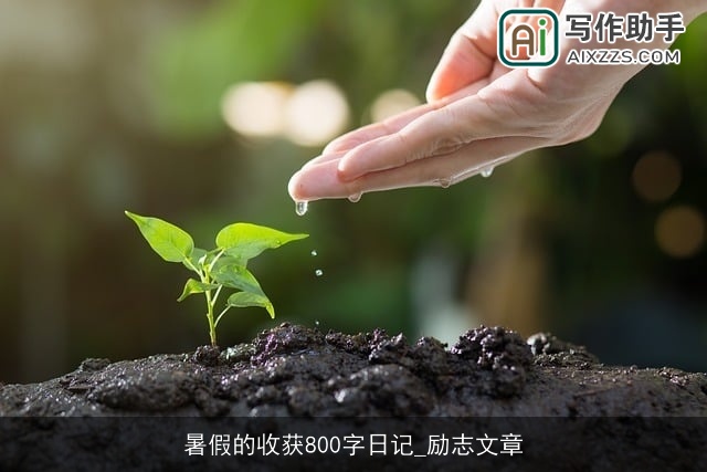 暑假的收获800字日记_励志文章