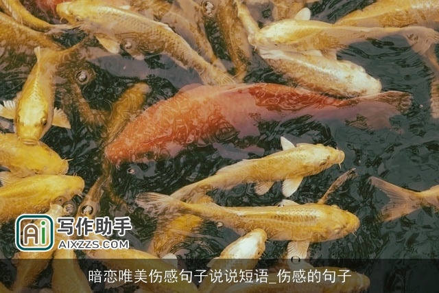 暗恋唯美伤感句子说说短语_伤感的句子