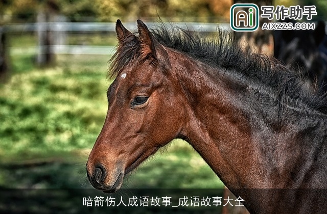 暗箭伤人成语故事_成语故事大全