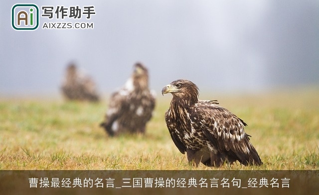 曹操最经典的名言_三国曹操的经典名言名句_经典名言