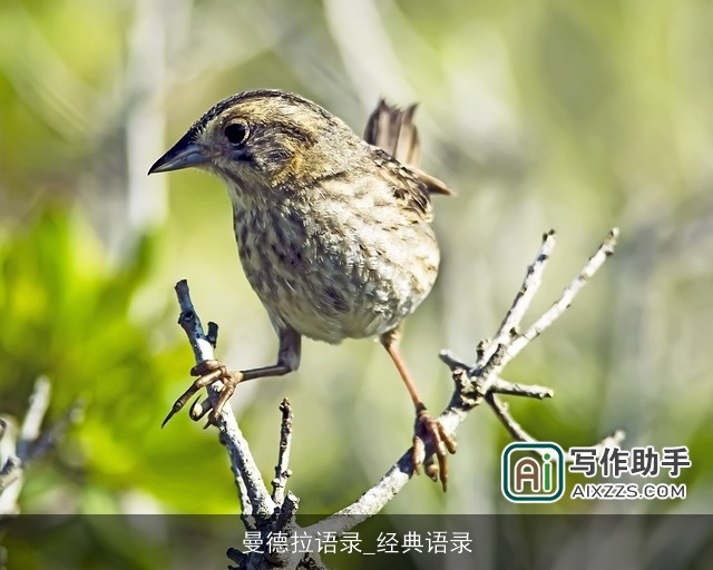 曼德拉语录_经典语录