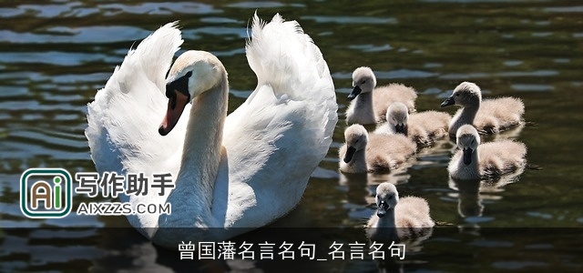 曾国藩名言名句_名言名句