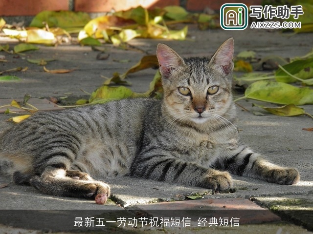 最新五一劳动节祝福短信_经典短信