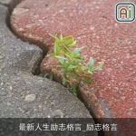 最新人生励志格言_励志格言