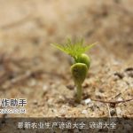 最新农业生产谚语大全_谚语大全