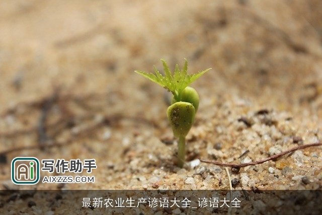 最新农业生产谚语大全_谚语大全