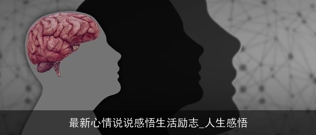 最新心情说说感悟生活励志_人生感悟