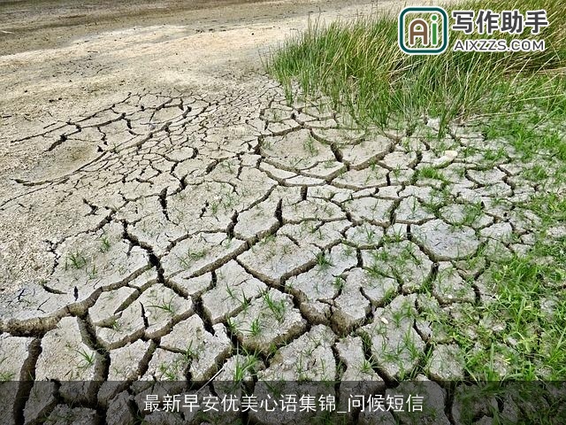 最新早安优美心语集锦_问候短信