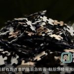 最新有趣连串的脑筋急转弯_脑筋急转弯大全