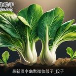 最新汉字幽默微信段子_段子