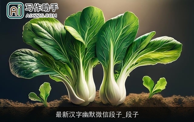 最新汉字幽默微信段子_段子