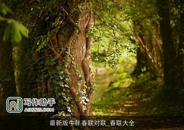 最新版牛年春联对联_春联大全