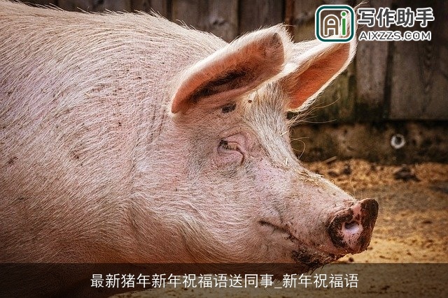 最新猪年新年祝福语送同事_新年祝福语
