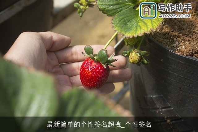 最新简单的个性签名超拽_个性签名