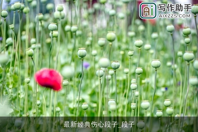 最新经典伤心段子_段子